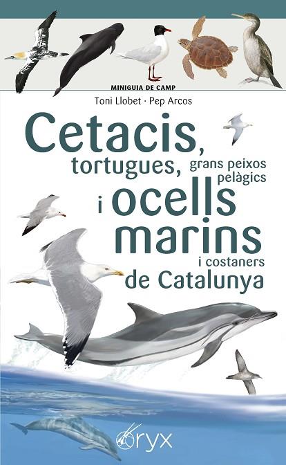 Cetacis, tortugues, grans peixos pelàgics i ocells marins de Catalunya | 9788490349441 | Llobet François , Toni / Arcos xx, Pep