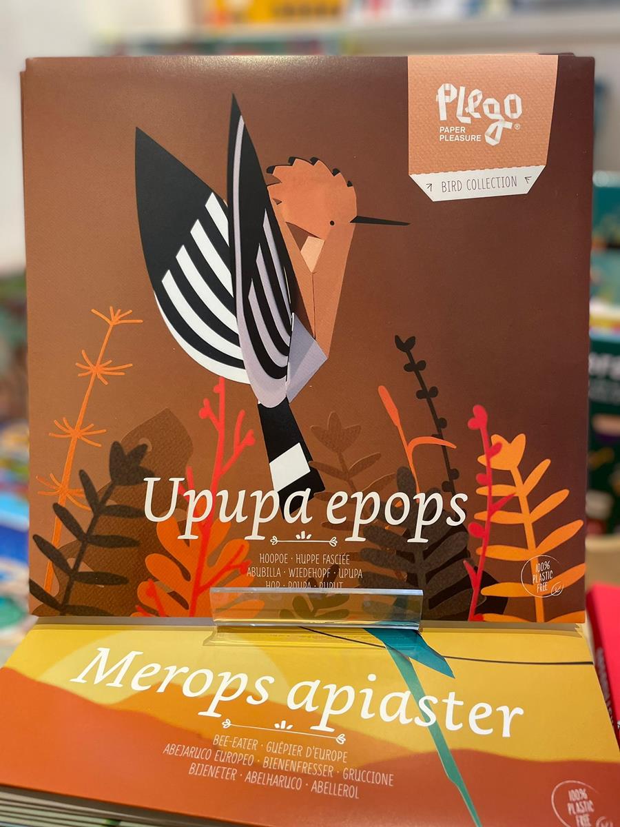 Upupa epops | 8436043720117