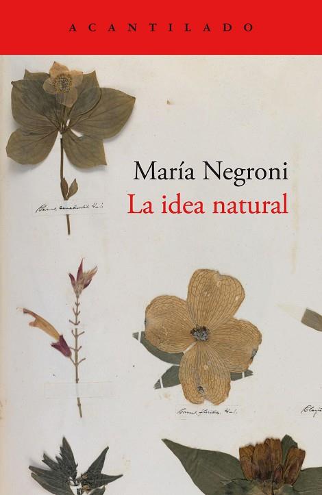 La idea natural | 9788419036872 | Negroni, María