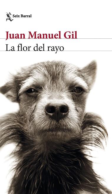 La flor del rayo | 9788432241574 | Gil, Juan Manuel