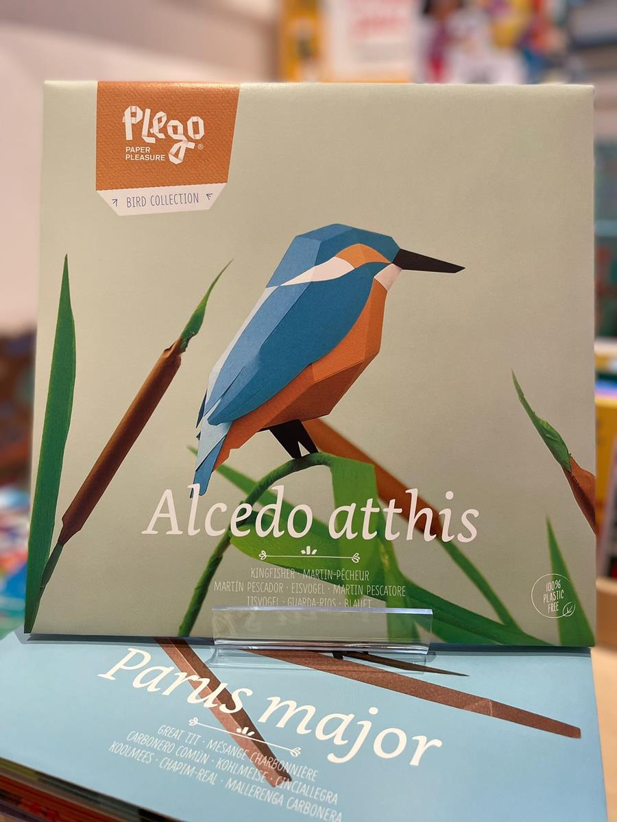 Alcedo atthis | 8436043724139
