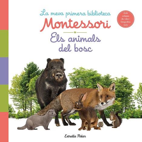 Els animals del bosc. La meva primera biblioteca Montessori | 9788413890159 | AA. VV.