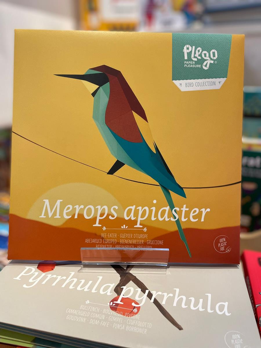 Merops apiaster | 8436043724337