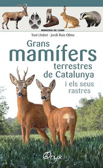 Grans mamífers terrestres de Catalunya i els seus rastres | 9788490347881 | Llobet François , Toni