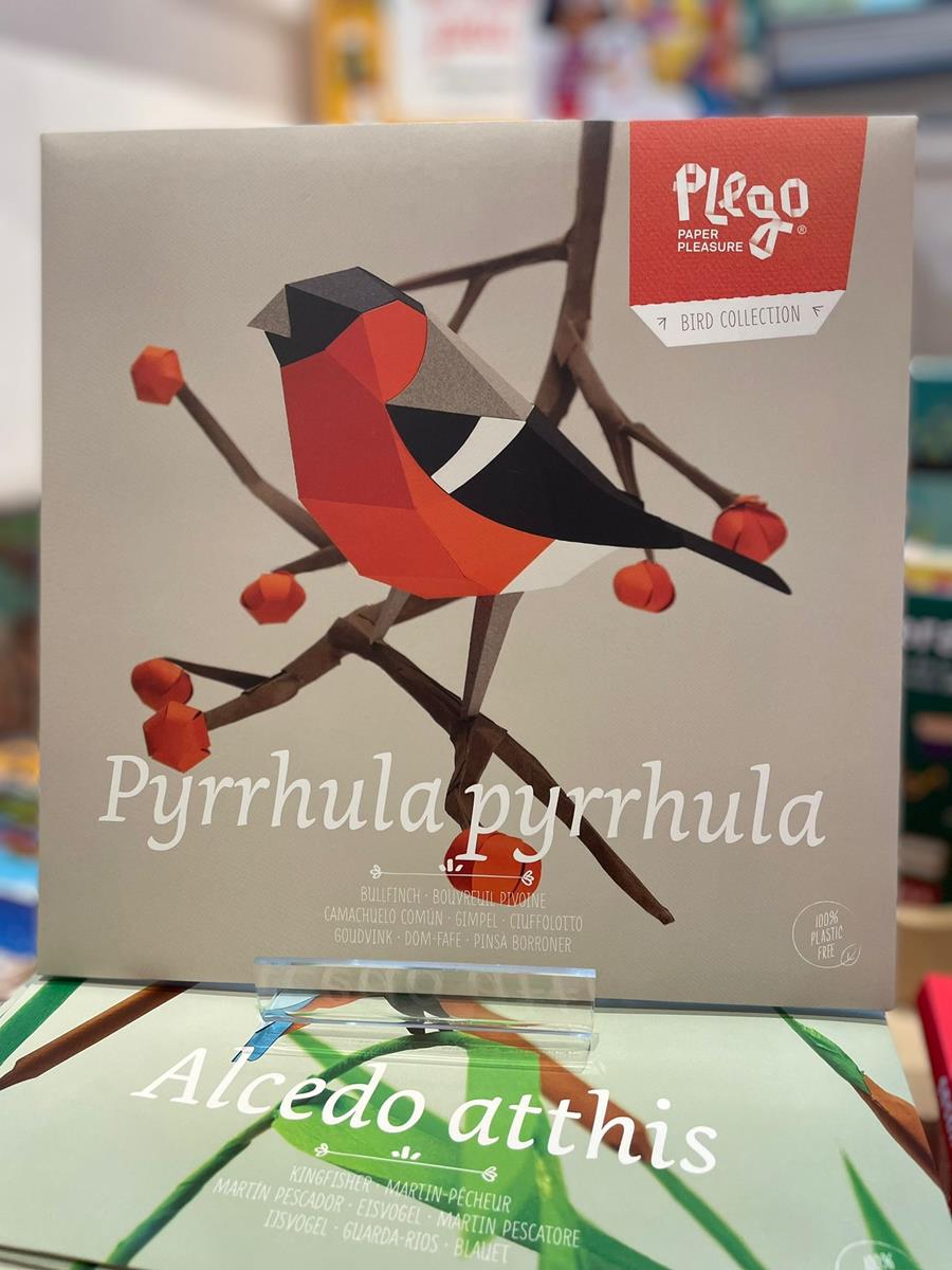 Pyrrhula pyrrhula | 8436043721404