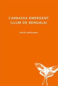 Carbassa emergent | 9788494433023 | Ymbernon Grau, David