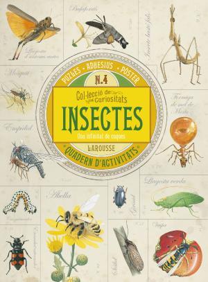 Col.lecció de curiositats. Insectes | 9788416641734 | Larousse Editorial