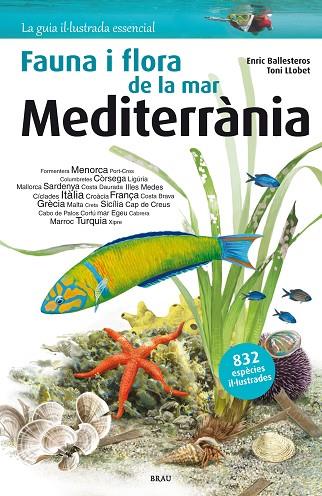 Flora i fauna de la mar Mediterrània | 9788415885979 | Ballesteros Sagarra, Enric