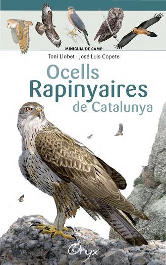 Ocells rapinyaires de Catalunya | 9788490346785 | Llobet François, Toni