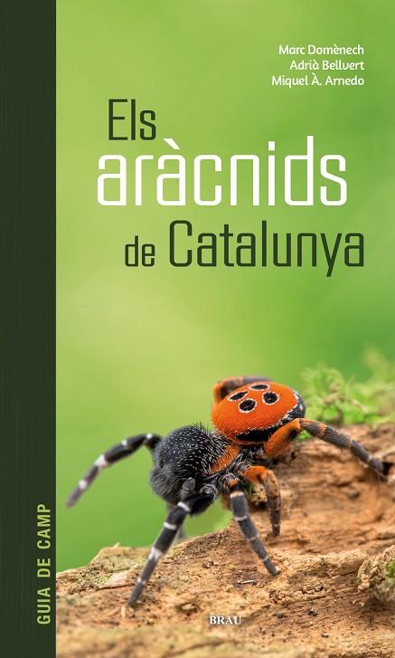 Els aràcnids de Catalunya | 9788418096686 | Domènech Andreu, Marc / Bellvert Bantí, Adrià / Arnedo Lombarte, Miquel Àngel