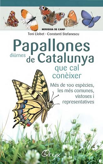 Papallones diürnes de Catalunya | 9788490346754 | Llobet François, Toni