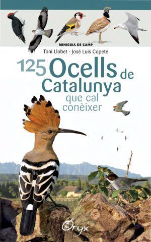 125 ocells de Catalunya | 9788490346747 | Llobet François, Toni