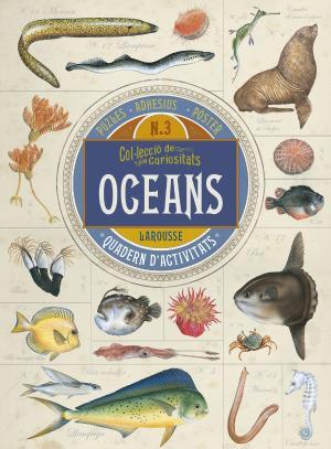 Col.lecció de curiositats. Oceans | 9788416641727 | Larousse Editorial
