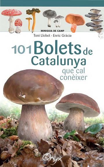 101 bolets de Catalunya | 9788490347096 | Llobet François, Toni