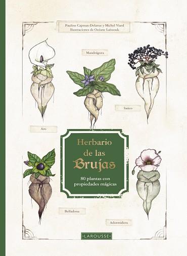 Herbario de las brujas | 9788419250926 | Capmas-Delarue, Pauline / Viard, Michel