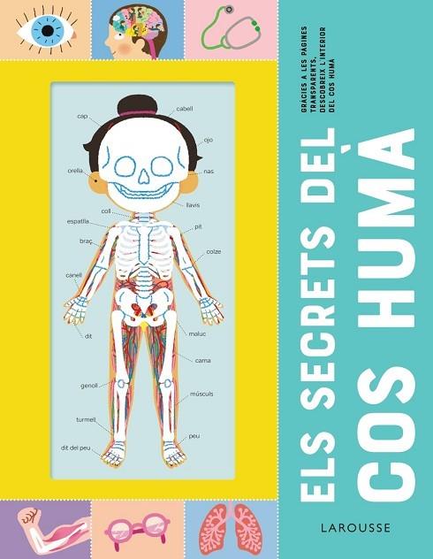 Els secrets del cos humà | 9788418473227 | Éditions Larousse