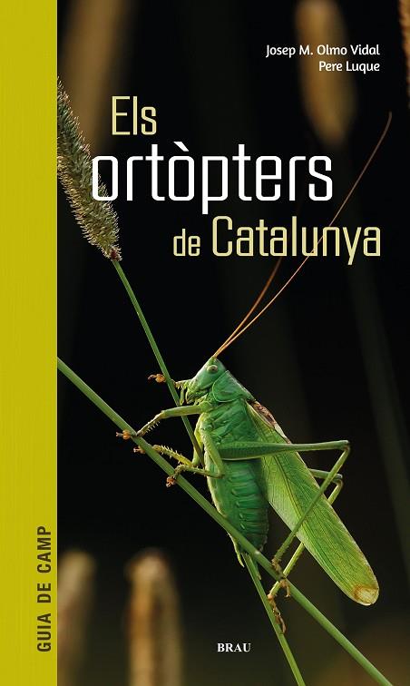 Els ortòpters de Catalunya | 9788418096266 | Olmo Vidal, Josep M / Luque Pino, Pere