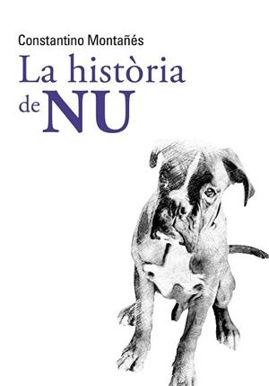 La història de Nu | 9788413031996 | Montañés Núñez, Constantino