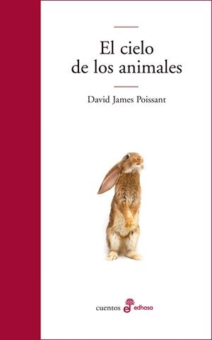El cielo de los animales | 9788435012416 | Poisant, David James