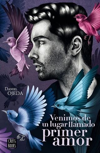 Venimos de un lugar llamado primer amor | 9788408224877 | Ojeda Checa, Daniel