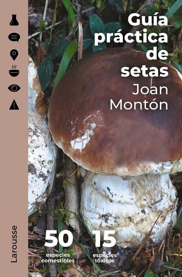 Guía práctica de setas | 9788418473845 | Montón Martínez, Joan