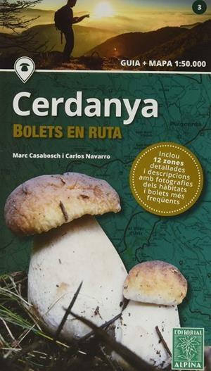 CERDANYA -BOLETS EN RUTA ALPINA | 9788480907958 | A.A.V.V.