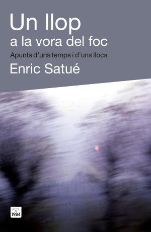 Un llop a la vora del foc | 9788415835400 | Satué Llop, Enric