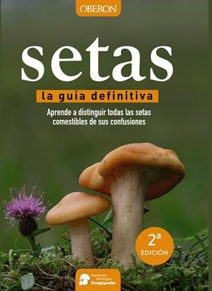 Setas | 9788441537842 | Calvo Pérez, Aitor / Calvo Pérez, Javier / Román Echevarría, Juan Andrés / Ibarretxe Iragorri, Ricar