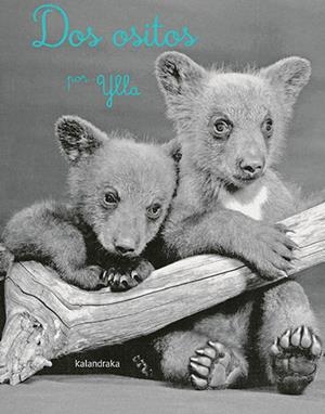 Dos ositos | 9788413431161 | Ylla