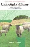 Una còpia i Lluny | 9788496639324 | Churchill, Caryl