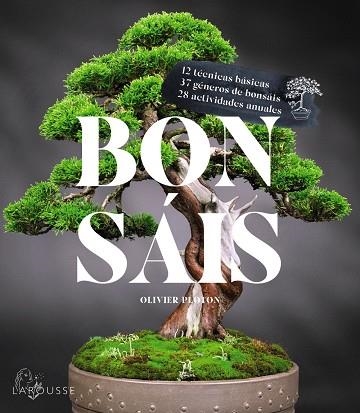 Bonsáis | 9788419436610 | Samson, Rémy / Samson, Isabelle