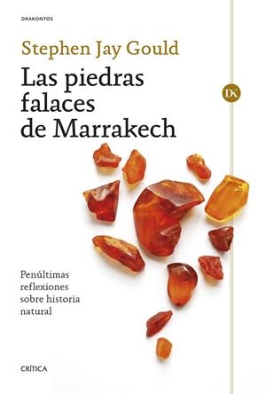 Las piedras falaces de Marrakech | 9788491995180 | Gould, Stephen Jay