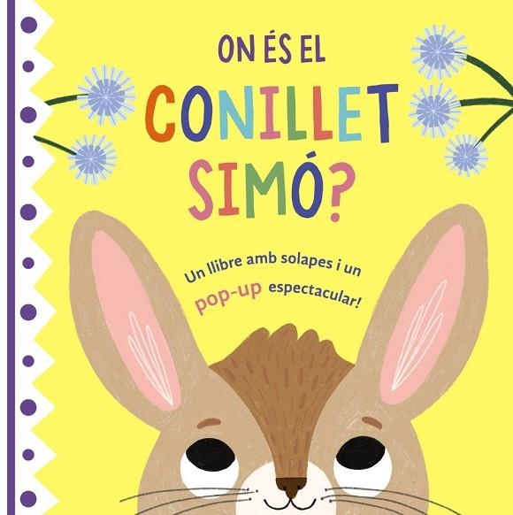 On és el conillet Simó? | 9788413492421 | AA.VV.
