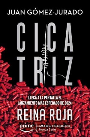 Cicatriz | 9788413143231 | Gómez-Jurado, Juan