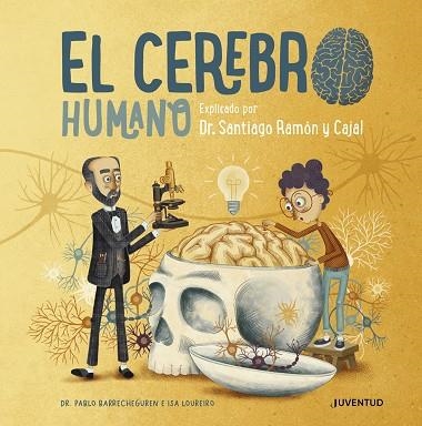 El cerebro humano | 9788426147110 | Barrecheguren, Pablo