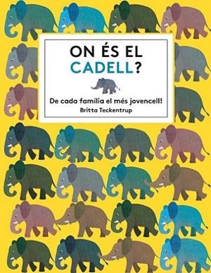 On és el cadell? | 9788494681561 | Teckentrup, Britta