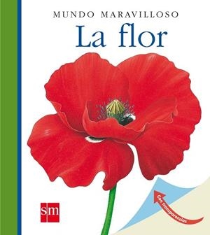 MUM. 5 LA FLOR(N) | 9788467531459 | Mettler, René