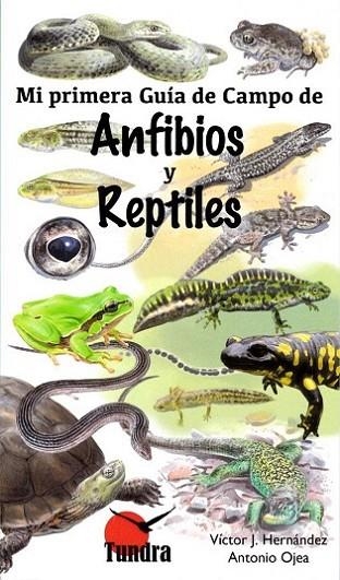 Mi primera guía de campo de anfibios y reptiles | 9788416702428 | Ojea Antonio