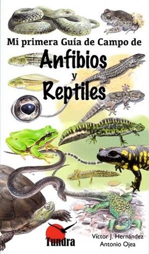 Mi primera guía de campo de anfibios y reptiles | 9788416702428 | Ojea Antonio