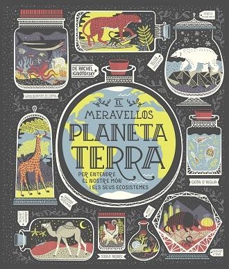 El meravellós planeta Terra | 9788491378778 | Ignotofsky, Rachel