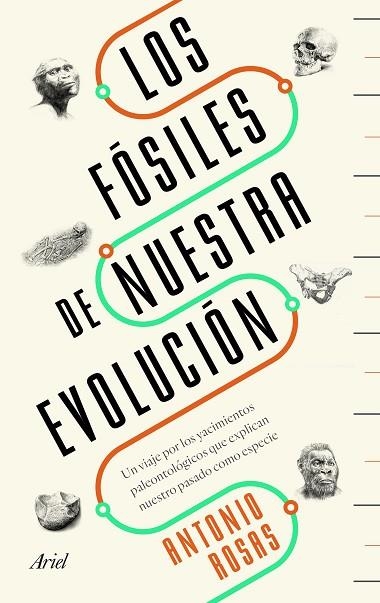 Los fósiles de nuestra evolución | 9788434429642 | Rosas, Antonio