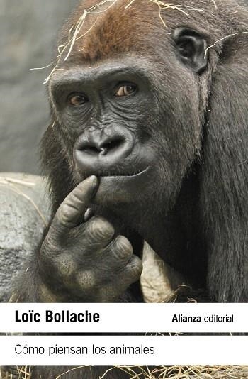 Cómo piensan los animales | 9788411489461 | Bollache, Loïc