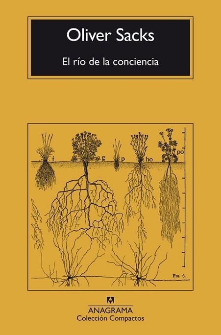 EL RÍO DE LA CONCIENCIA | 9788433946867 | SACKS, OLIVER