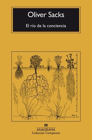 EL RÍO DE LA CONCIENCIA | 9788433946867 | SACKS, OLIVER