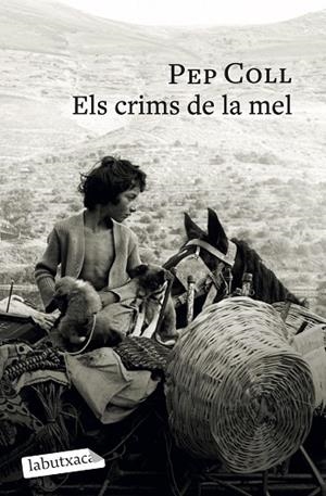 Els crims de la mel | 9791387802196 | Coll, Pep