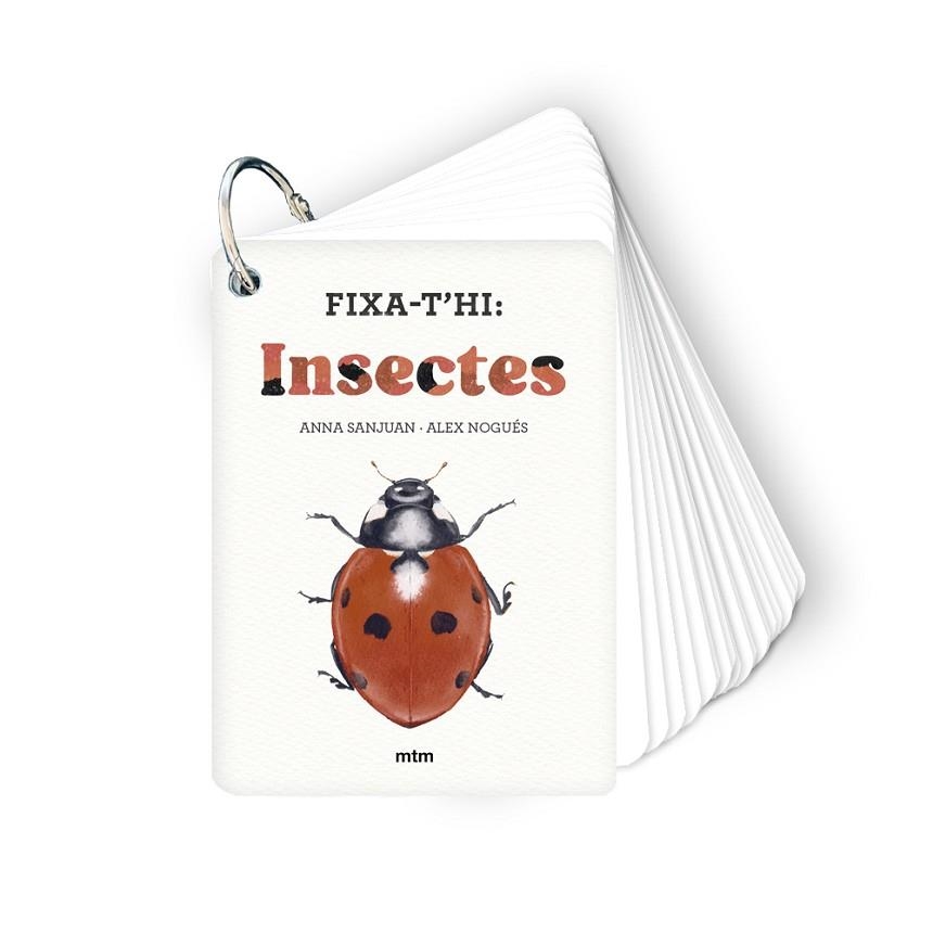 Fixa-t'hi: insectes | 9788410407213 | Nogués Otero, Alex / Sanjuan Llorens, Anna