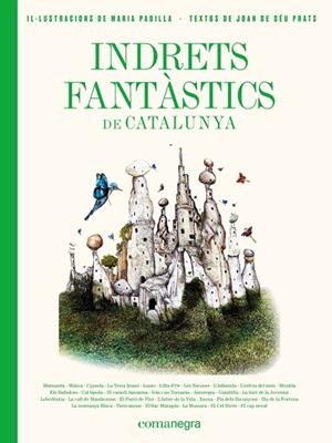 Indrets fantàstics de Catalunya | 9788417188986 | Prats Pijoan, Joan de Déu / Padilla Climent, Maria