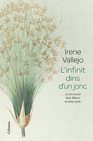 L'infinit dins d'un jonc | 9788466426947 | Vallejo, Irene