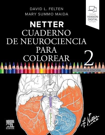Netter. Cuaderno de neurociencia para colorear | 9788413827780 | , Felten