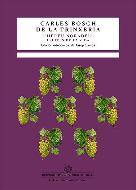 L'hereu Noradell | 9788416726615 | Bosch de la Trinxeria, Carles
